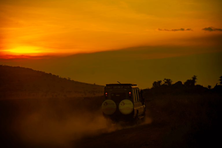 Picture of african traits car moving to serengeti