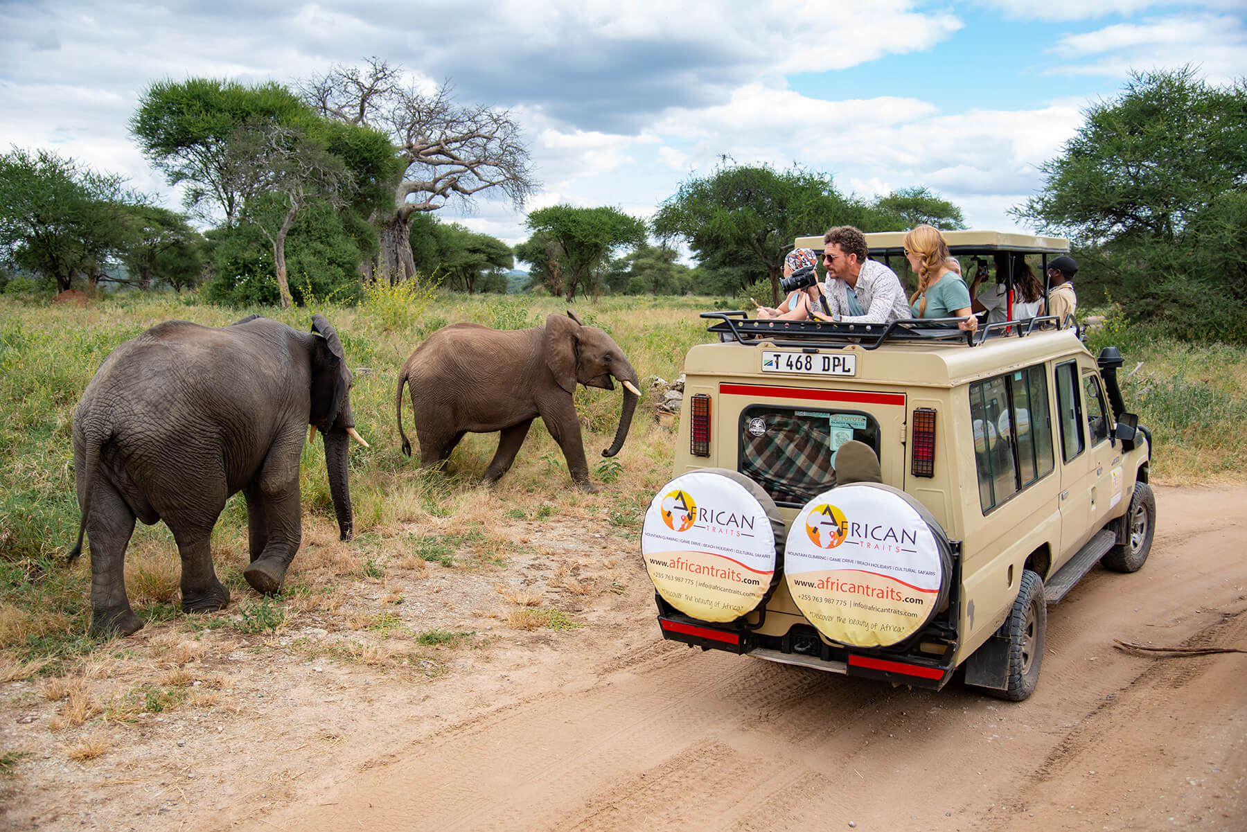 Elephants at Tarangire